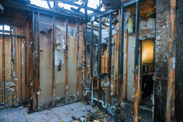 Professional Fire Damage Removal technician working in Rockford, MN