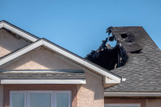 Top rated local Fire Damage Removal specialists in Rockford, MN